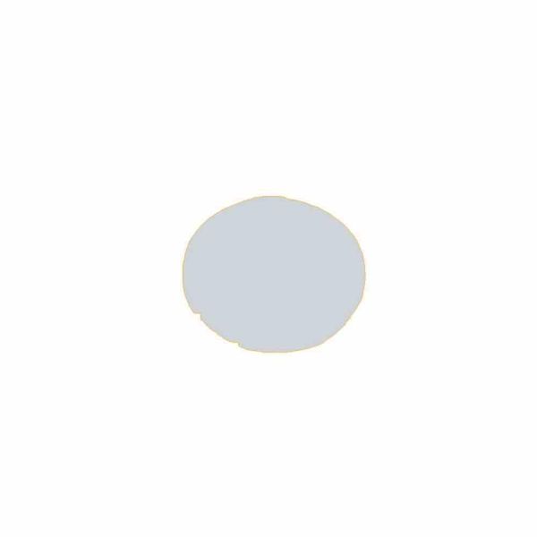 Eaton Electric Gmbh Tastenlinse Flach Ws Blanko M22-XDL-W (216441)-image