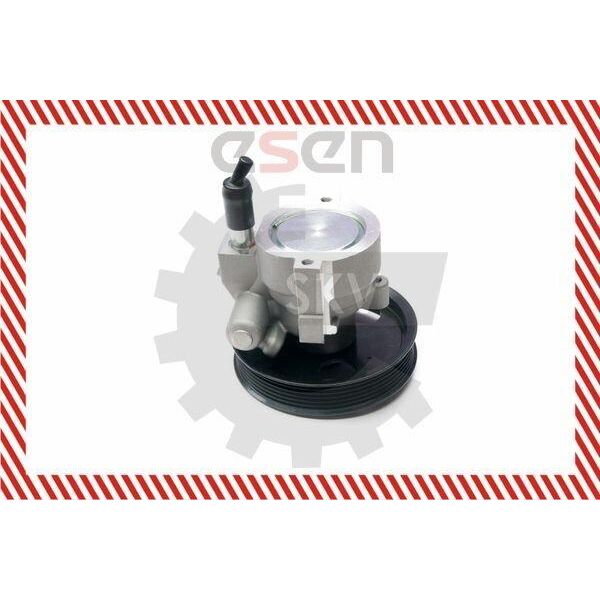 Esen Skv 10SKV207 Pompa Del Servosterzo Pompa Del Servosterzo Per Renault Clio Ii (BB0/1/2, CB0/1/2) Idraulico-image