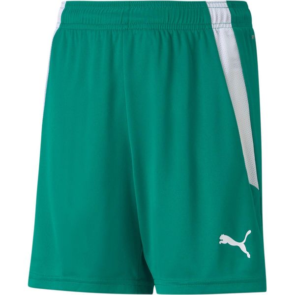 Puma Teamliga Pantaloncini Jr Pepper GREEN-PUMA White Pepper GREEN-PUMA White 176-image