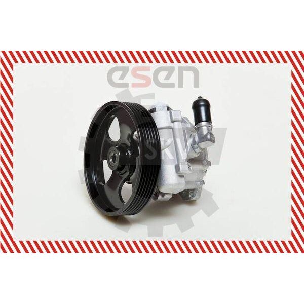 Esen Skv 10SKV009 Pompa Del Servosterzo Pompa Del Servosterzo Per Furgone Fiat Scudo (220) Idraulico-image