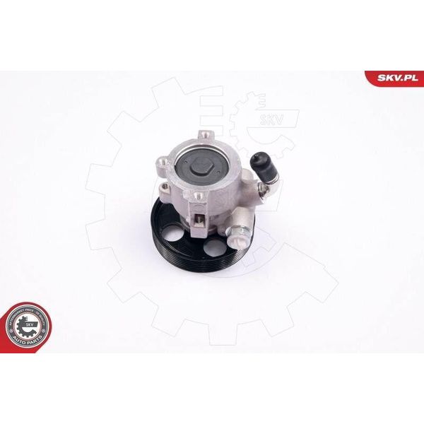 Esen Skv 10SKV174 Pompa Servosterzo Pompa Servosterzo Adatta Per Peugeot 306 Hatchback (7A, 7C, N3, N5) Idraulica-image