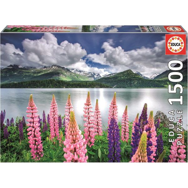 Educa Puzzle Conchiglie Sulle Rive Del Lago Di Sils, Svizzera 1500 Pezzi-image