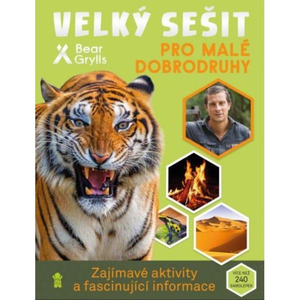Un Grande Libro Per Piccoli Avventurieri (Grylls Bear)-image