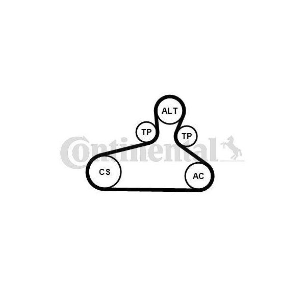 Continental Contitech 6PK1120 Extra K1 Set Di Cinghie Trapezoidali Per Audi A4 B9 Avant (8W5, 8WD) A6 Avant (4A5, C8) A5 Sportback (F5A) Q5 (Fyb)-image