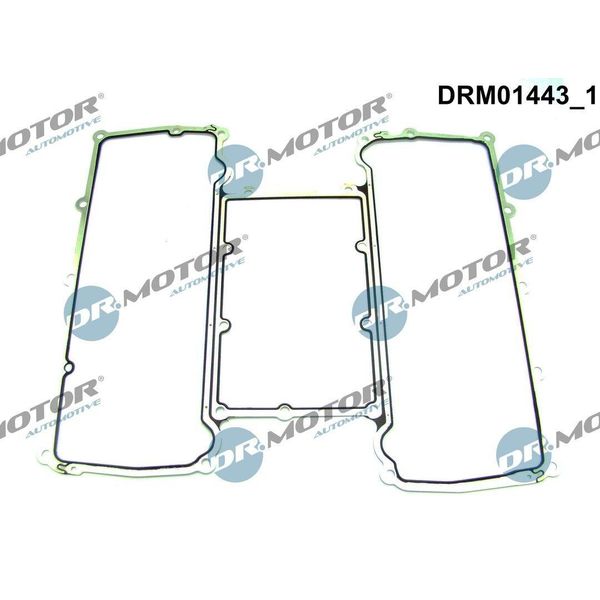 Dr.Motor Automotive DRM01443 Guarnizione Del Collettore Di Aspirazione Per Land Rover Range Rover Sport (L320) Per Jaguar Xf (J05, CC9)-image