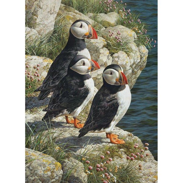 Cobble Hill Puffball Puzzle 500 Pezzi-image