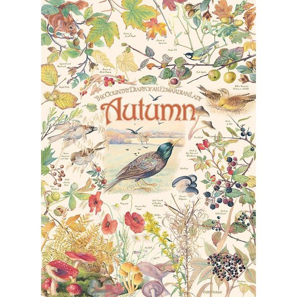 Cobble Hill Puzzle Herbst Country Diary 1000 Teile Puzzlespiel-image