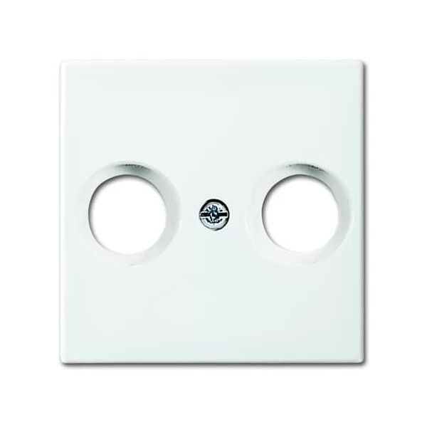 BUSCH-JAEGER Piastra Centrale Ant.Box Busch-Balance Si Aws Glz-image