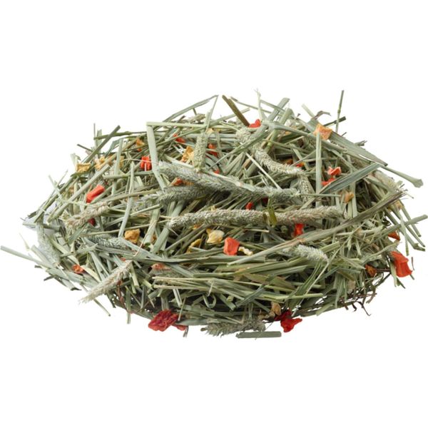 Nature Timothy Hay Carrot & Pumpkin - 500 G-image