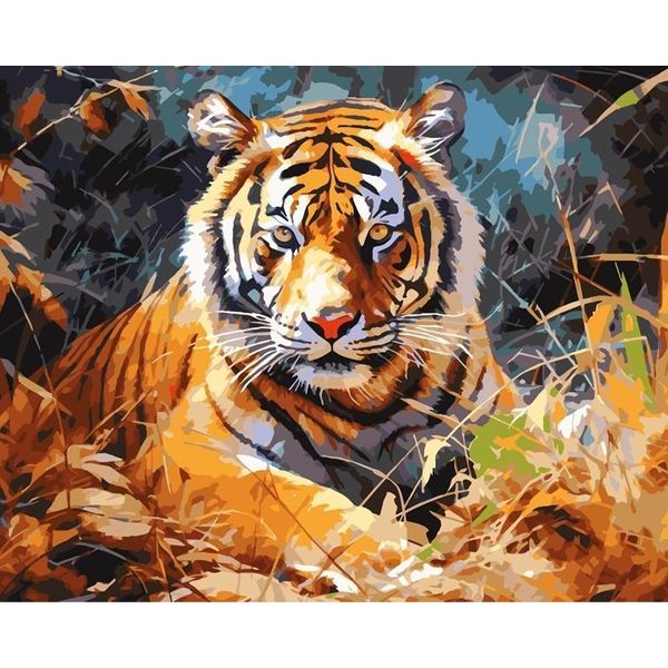 Pittura Per Numeri 40X50 Tigre-image