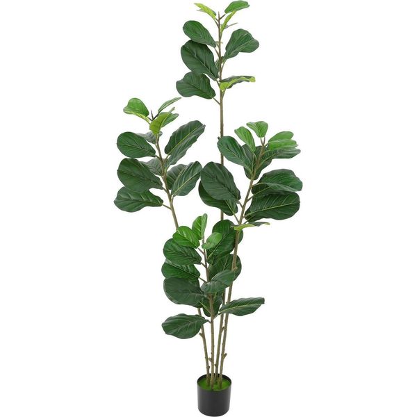 Fico Artificiale - Albero 180 Cm - Ficus Lyrata - Per Esterni E Interni - Facile Da Curare, Sempreverde - Foglie In Pe, Tronco In Ferro, Base In Cemento - Con Vaso Nero - Verde-image