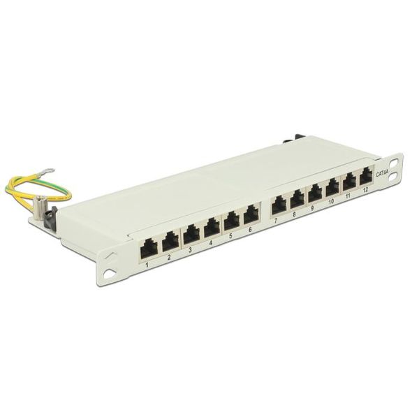 Pannello Patch Delock - RJ-45 X 12 - Grigio Chiaro, Ral 7035 - 0,5U - 25,4 Cm (10")"-image