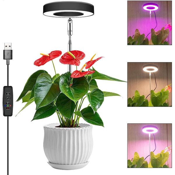 Luce Per Piante Led Per Piante Da Interno Luce Di Coltivazione A Spettro Completo Lampada Per Piante Regolabile In Altezza Con Timer 3/9/12H 10 Livelli Di Luminosità 3 Modalità Di Illuminazione-image