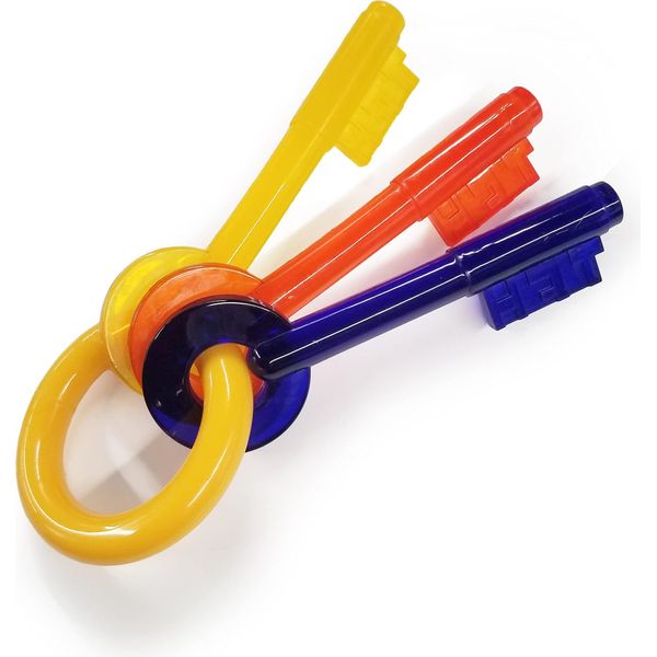 Nylabone Puppy Chew Bite Keys Al Gusto Di Pancetta-image