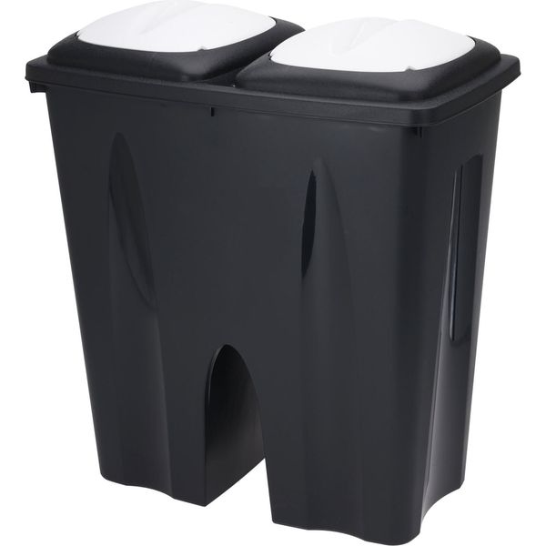 Excellent Houseware Pattumiera A 2 Scomparti, Plastica, 50X30X55 Cm, 2X25 L, Nero/Bianco-image