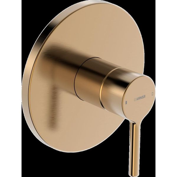 Hansa Hansavantis Set De Finition Pour Batterie De Douche, Levier à Goupille, Pour Un Consommateur, 8261906781, 8261906781-image