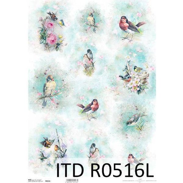 Carta Di Riso Per Decoupage A3 ITD-0516L Uccelli-image