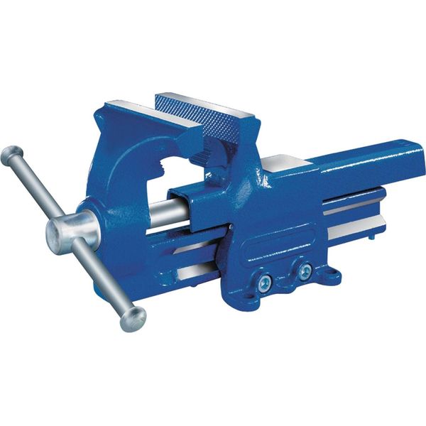 Morsa Parallela Larghezza Ganasce 100 Mm Larghezza Di Serraggio 125 Mm Forgiato Profondità Di Serraggio 55 Mm-image