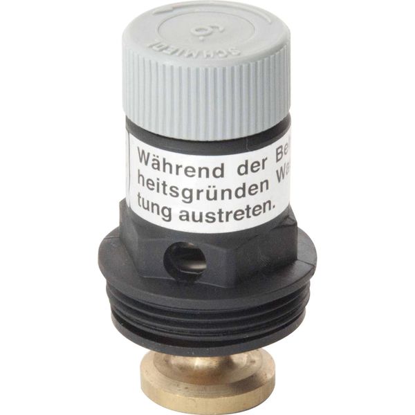 Coperchio Della Valvola Di Sicurezza Schmiedl Gs-image