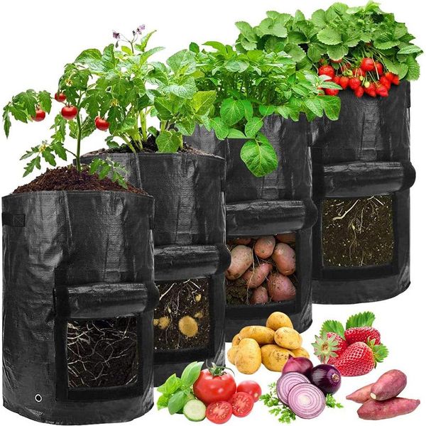 5 Pezzi Sacchetto Di Piantagione Patate Pomodori Arachidi 3 Galloni Pe Sacchetto Di Piantagione Sacchetto Di Piantagione Traspirante Sacchetto Di Verdure, Nero-image