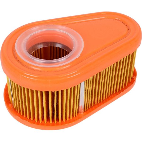 Filtro Aria Per Motori, Tosaerba Briggs&Stratton 790388 792038 Originale-image
