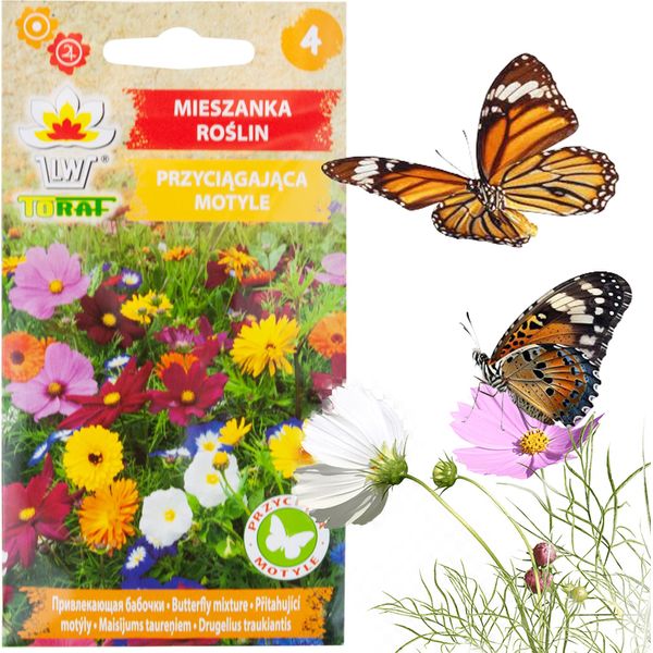 Semi Di Miscuglio Per Attrarre Le Farfalle 1G Miscuglio Di Fiori Fiori-image