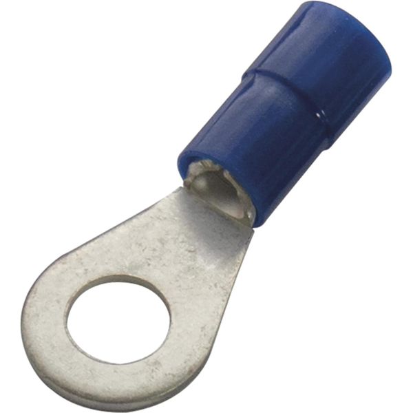 Haupa Capocorda Ad Anello Pvc Isol. 1,5 - 2,5 Mm² M6 1,5-2,5 M6 Pvc-image