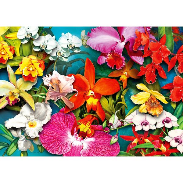 Enjoy Puzzle Dell'orchidea Della Giungla 1000 Pezzi-image