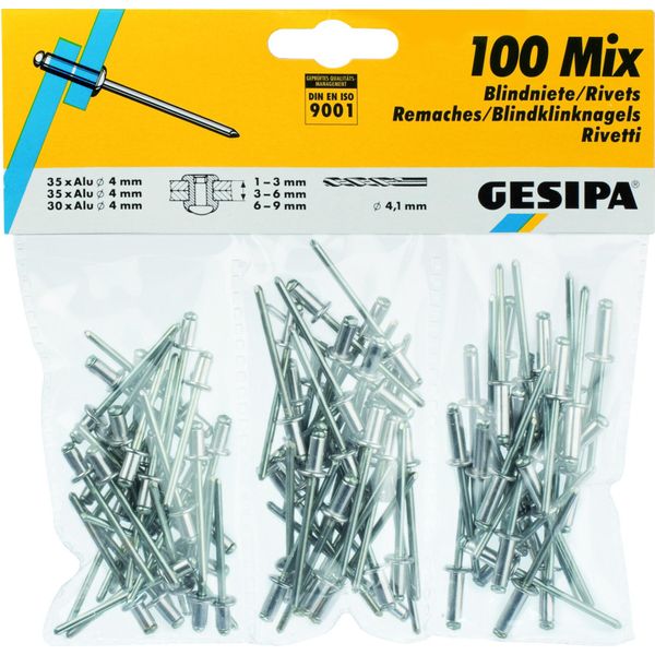 Assortimento Di Rivetti Ciechi 100 Pz.Gesipa-image