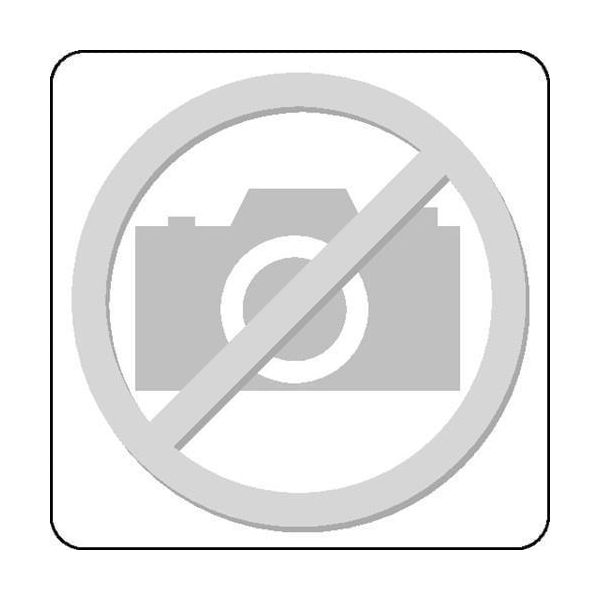 Cuscinetto A Rulli Cilindrici NU308 ECJC3 Id 40Mm Od 90Mm Larghezza23Mm Skf-image