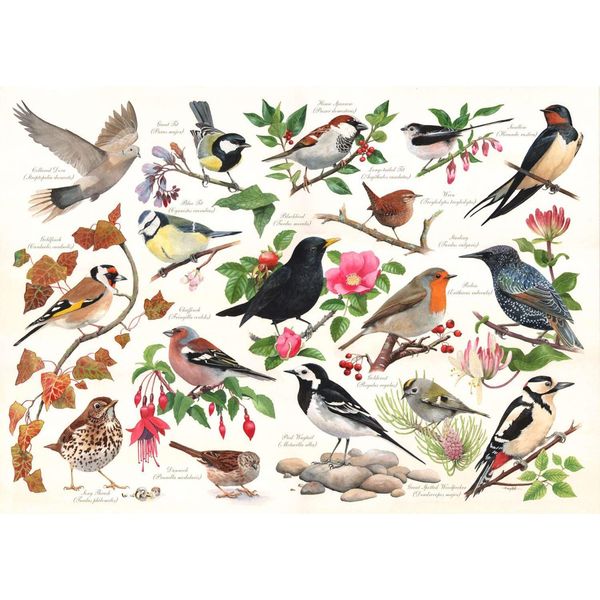 Uccelli Nel Mio Giardino - Puzzle Da 1000 Pezzi-image