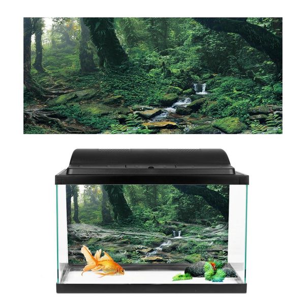 Poster Acquario, Poster Acquario, Poster Acquario Sfondo, Poster Acquario Sfondo, Decorazione Acquario-image
