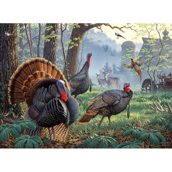 Sunsout Puzzle Larry Zach - La Fattoria Del Vecchio Tom - 1000 Pezzi-image