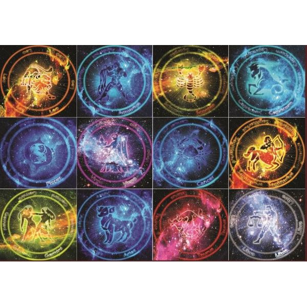 Magnolia Puzzle Cardinal Signs - 1000 Teile Legespiel Multicolor-image