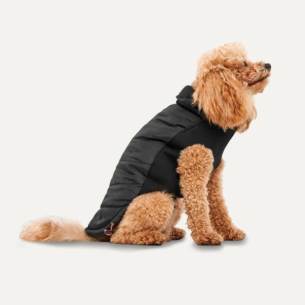 Giacca Gooeez Con Collo A Lupetto Signature S Nera/Nera-image