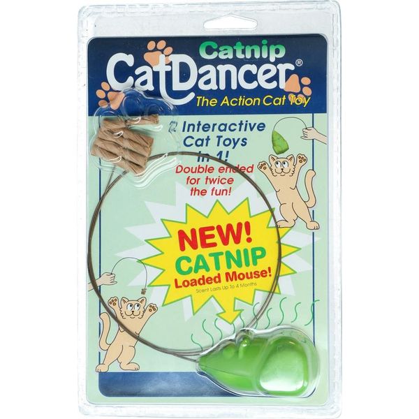 Gatto Ballerino Gatto Ballerino Di Erba Gatta-image