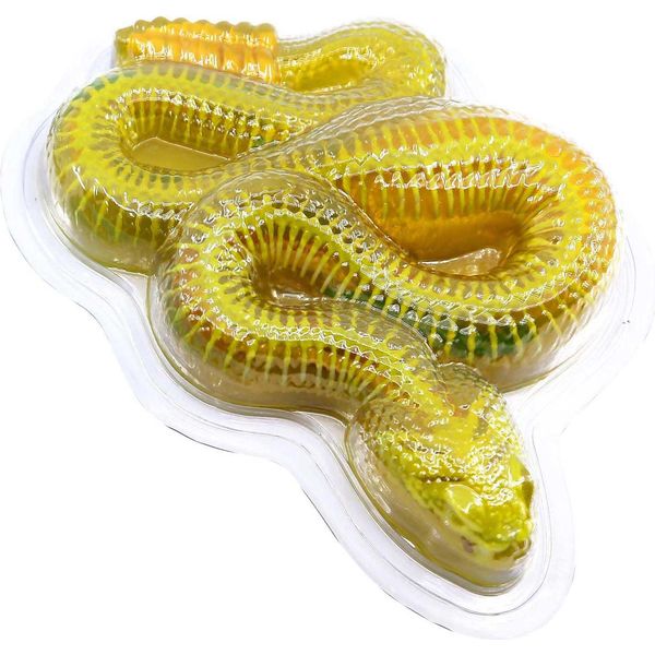 DISSECT-IT Seziona Un Serpente A Sonagli Mega Confezione Regalo-image