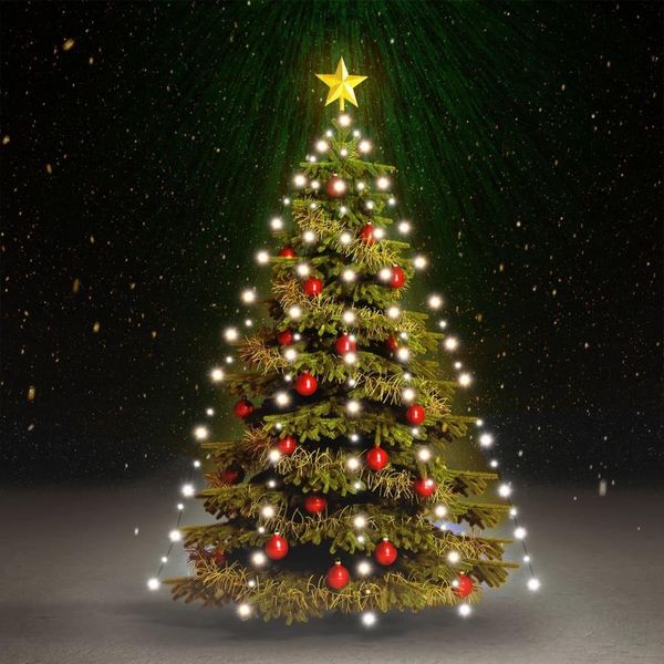 Maison Exclusive - Rete Di Luce Per Albero Di Natale 210 Led Bianco Freddo 210 Cm-image