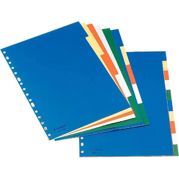 Esselte Confezione Da 5 Indici Multiforo A4 Multicolore Multicolore Taglia Unica-image