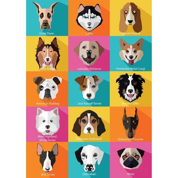 Yazz Puzzle I Cani - 1000 Teile Hunde-Puzzle Multicolore-image