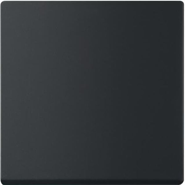 Busch-Jaeger 6735 BT-885, Nero, Termoplastico, Senza Viti, Busch-Jaeger, Smerigliato, IP20-image