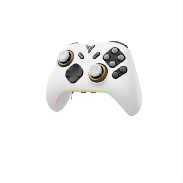 Inf Custodia Protettiva In Silicone Per Controller Feizhi Black Warrior 5 Pro Elite Bianco-image