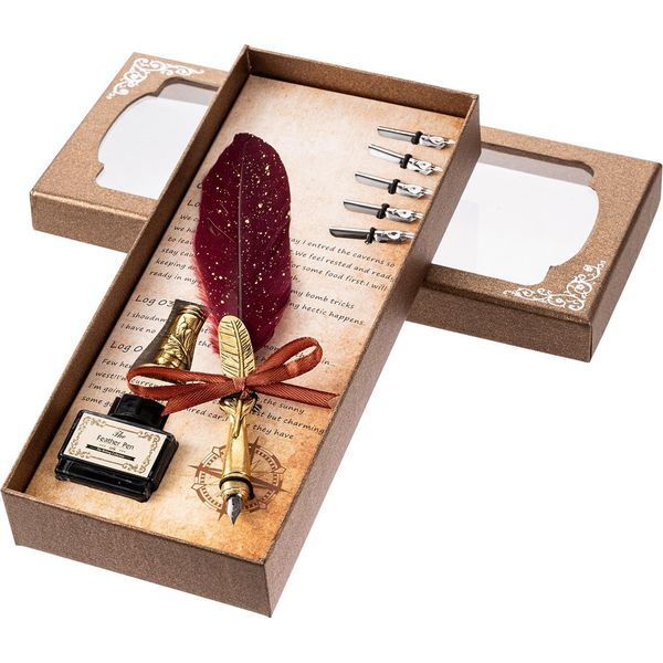 Set Di Penne D'oca E Inchiostro, Pennino Retrò, Penna Calligrafica Vintage Con 5 Punte Di Ricambio In Confezione Regalo Per Scritti A Mano-image
