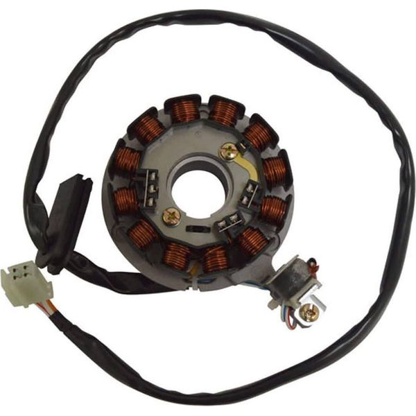 Statore Sgr 12 Poli Con Piastra E Pick-Up-image