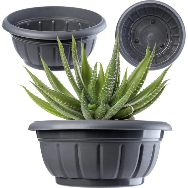 Vaso Da Fiori - Vaso Per Piante In Gabbia Metallica - Ø 20 Cm - Rete Metallica Rotonda - Per Giardino E Balcone-image