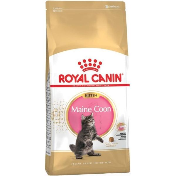 Royal Canin Feline Maine Coon Gattino - 4 Kg-image