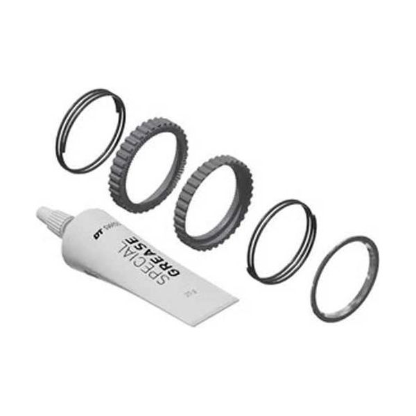 Dt Swiss Deg 90T Ratchet Service Kit Argento Argento Taglia Unica-image