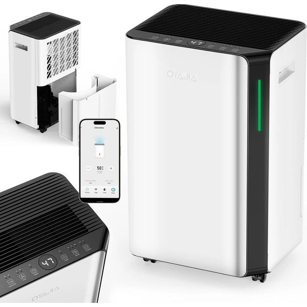 Deumidificatore, Capacità Di Rimozione Dell'acqua 14 L, Funzionamento Ultra Silenzioso, BD068C 16 L Con App, Spina Ue-C-image