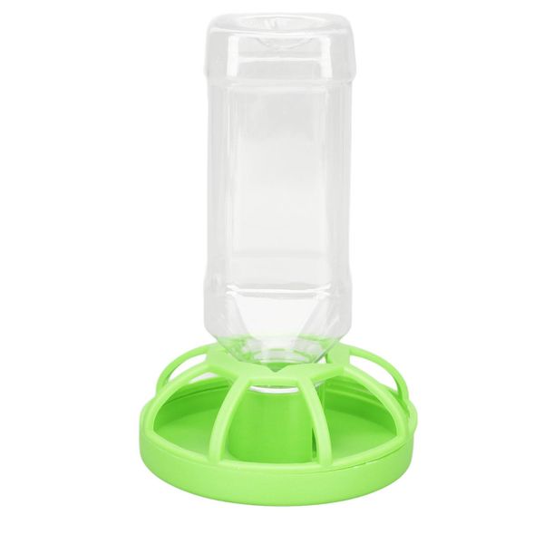 Alimentatore Automatico Dell'acqua Del Rettile, Erogatore Automatico Dell'acqua Del Rettile, Erogatore Automatico Dell'acqua Del Rettile, Alimentatore Automatico Dell'acqua Del Rettile, Erogatore Dell'acqua Del Rettile, Ciotola Dell'acqua Dell'alimentazione Della Tartaruga Con La Bottiglia-image