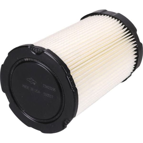 Filtro Aria Per Tosaerba Briggs&Stratton Intek V-Twin Series 591334 Originale-image